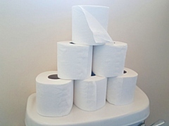 Toilet roll