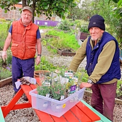 Les and Ken, volunteers at Petrus Incredible Edible Rochdale (PIER)