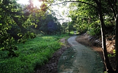 Rhodes Ravine in Kirkholt