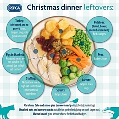 RSPCA advice on Christmas dinner leftovers