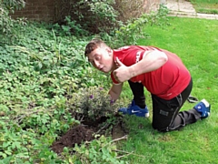 Nathan Statham showing off his gardening skills at Trafford Hall, Chester, as he plants a Hebe plant