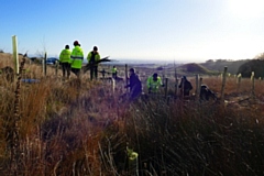 Chippings from the felled trees have also gone to Lydgate for use in a tree nursery to enhance the local community and to Hollingworth Lake Park, to be used to make a footpath with the help of local volunteers