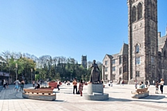 Initial ideas for how Town Hall Square could look (pictured) will go out to public consultation in the summer