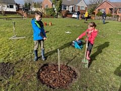 Children plant a tree in Norden