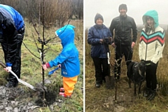 Apple, plum and cherry trees have been planted in Whitworth