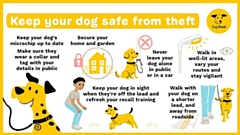 The Dogs Trust, the UK’s largest dog welfare charity, has provided some helpful advice on how to keep your pet safe