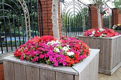 Planters at at Bilal Masjid