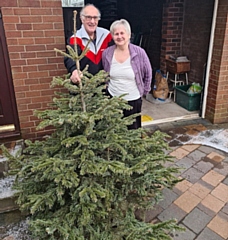 Springhill will turn your tree into chippings to be used in the hospice gardens