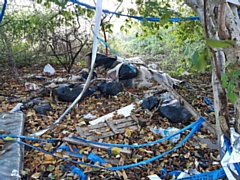 Terence Edhouse's waste found behind Cedar Avenue, Heywood