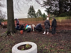 Planting a new hedge at Bamford Chapel & Norden United Reformed Church