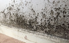 Trading Standards teams across the country have received reports of cold-callers targeting residents, particularly in socially deprived areas, and offering ‘free surveys’ of homes to check for signs of mould