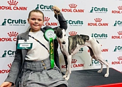 Darcie and Domino placed fourth in their first-ever Crufts Dog Show