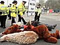 Mrs Sanchez thumb-cuffed to a seven foot red squirrel, bearing a placard saying 'Nuts to Trident'! 