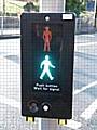 Puffin Crossing